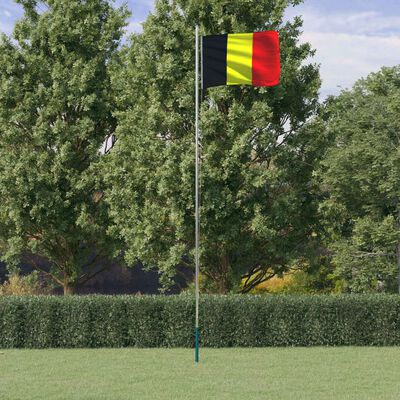 vidaXL Belgische Flagge mit Mast 6,23 m Aluminium