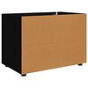 vidaXL Aufbewahrungsschrank Schwarz 80 x 48 x 57 cm Holzwerkstoff