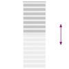 vidaXL Doppelrollo Hellgrau 75x230 cm Stoffbreite 70,9 cm Polyester