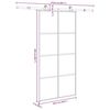 vidaXL Schiebet&uuml;r mit Beschlag 102,5x205 cm ESG-Glas & Aluminium