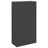 vidaXL Paketdrop-Box mit Speicher Schwarz 44 x 22 x 82 cm Stahl