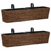 vidaXL Blumenkasten 2 Stk. Wasserhyazinthe Braun