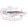 vidaXL Tagesbett Ausziehbar mit Schubladen Dunkelgrau 100x200 cm Samt
