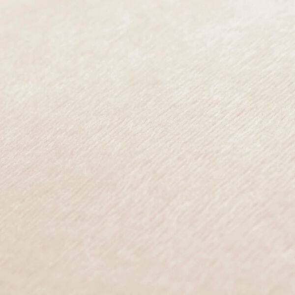 vidaXL Kissen 2 Stk. Velours 40x60 cm Cremewei&szlig;