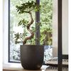 Produkt-Miniaturbild 6 von 15