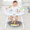 Skip Hop Baby's View 3-Stufen Aktivit&auml;tscenter Silver Lining Cloud