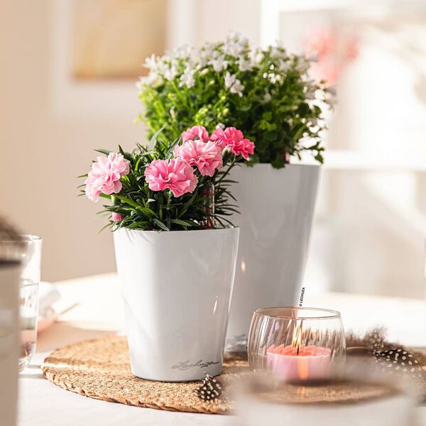 LECHUZA Pflanzgef&auml;&szlig; MINI DELTINI ALL-IN-ONE Wei&szlig;