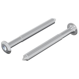 vidaXL Schraube 2 pcs Silber M6 x 60 mm Stahl