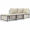 vidaXL 3-tlg. Garten-Lounge-Set mit Kissen Anthrazit Poly Rattan