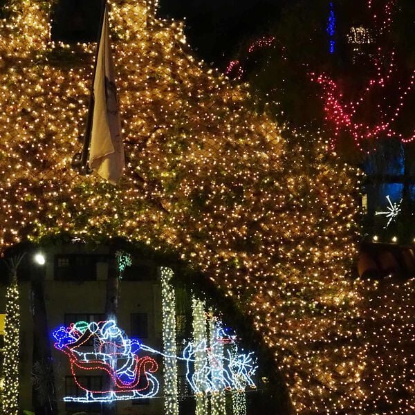 vidaXL Led-Net Dunkelgr&uuml;n