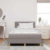 vidaXL LED Boxspringbett mit Matratze mit LED Taupe 120 x 200 cm Stoff