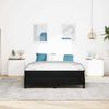 vidaXL Boxspringbett mit Matratze Schwarz 160 x 200 cm Stoff