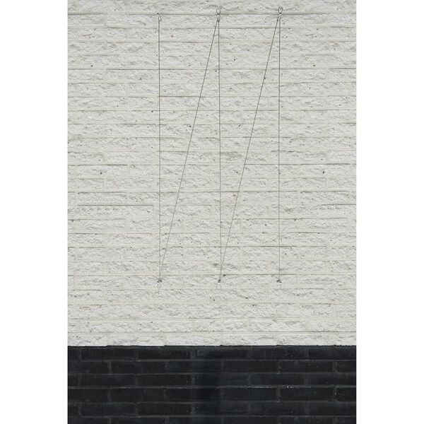 Nature Rankseil-Sets für Kletterpflanzen 2 Stk.