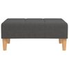 vidaXL Schlafsofa 2-Sitzer mit 2 Kissen & Hocker Dunkelgrau Stoff