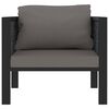 vidaXL Sofa-Element mit Kissen Poly Rattan Anthrazit