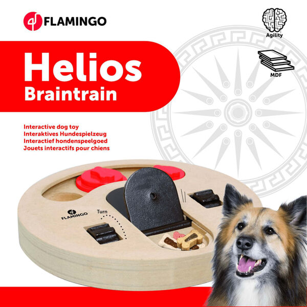 FLAMINGO Intelligenzspielzeug f&uuml;r Hunde Helios 23 cm Holz