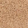 vidaXL Stufenmatten 15 Stk. 56x17x3 cm Beige Halbrund