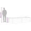 vidaXL Garten-Hochbeet 250 x 100 x 54 cm WPC Grau