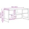 vidaXL TV-Schr&auml;nk Altholz 100 x 36 x 49,5 cm Holzwerkstoff