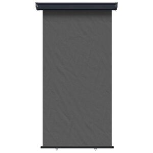 vidaXL Balkon Seitenmarkise 117 x 250 cm 100% Polyester Eisen Stahl