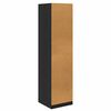 vidaXL Kleiderschrank Schwarze Eiche 50 x 50 x 200 cm Holzwerkstoff