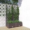 vidaXL Pflanzk&uuml;bel mit Rankgitter Braun 80x40x121,5 cm PP