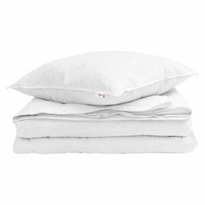 vidaXL 2-in-1 Bettdecke mit Kissen 2 pcs Wei&szlig; Daunenfeder