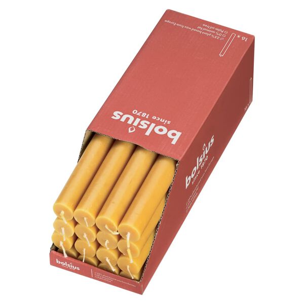 Bolsius Tafelkerzen Shine 16 Stk. 27 cm Honiggelb