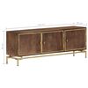vidaXL TV-Schrank 120x30x46 cm Massivholz Mango
