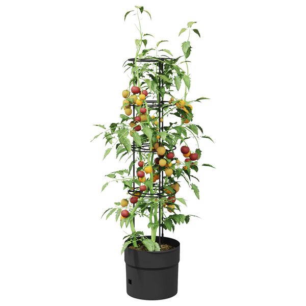 Produktbild 3 von 5 anzeigen