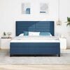 vidaXL Boxspringbett mit Matratze mit Kopfteil Blau 180 x 200 cm Stoff