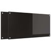 vidaXL K&uuml;chenr&uuml;ckwand 2 Stk. Schwarz 100 x 50 cm Geh&auml;rtetes Glas
