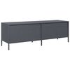 vidaXL TV-Schrank Anthrazit 135x39x43,5 cm Kaltgewalzter Stahl