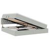 vidaXL Bett mit Stauraum und LED mit LED Hellgrau 200 x 200 cm Samt