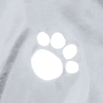 TRIXIE Hunde-Regenmantel Tarbes S 34 cm PVC Transparent