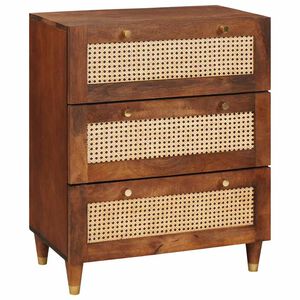 vidaXL Sideboard Braun 60 x 33 x 75 cm Massivholz Mango