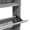 vidaXL Schuhschrank mit Spiegel 4 F&auml;cher Grau Sonoma 63x17x134 cm