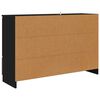 vidaXL Sideboard mit Schubladen Schwarz 100 x 30 x 65,6 Holzwerkstoff