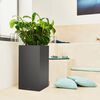 LECHUZA Pflanzgef&auml;&szlig; CANTO Premium 40 High ALL-IN-ONE 40x40cm Anthrazit