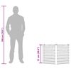 Produkt-Miniaturbild 12 von 13