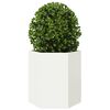 Produkt-Miniaturbild 8 von 10