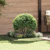 Produkt-Miniaturbild 2 von 8