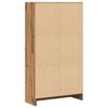 vidaXL B&uuml;cherregal Artisan-Eiche 60x24x109 cm Holzwerkstoff