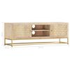 vidaXL TV-Schrank Golden 120x30x40 cm Massivholz Mango