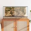 vidaXL Terrarium mit Speicher Transparent 80 x 40 x 40 cm Glas
