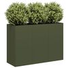 vidaXL Pflanzk&uuml;bel Olivgr&uuml;n 120x40x80 cm Kaltgewalzter Stahl