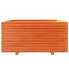 vidaXL Pflanzk&uuml;bel Wachsbraun 100x100x49,5 cm Massivholz Kiefer