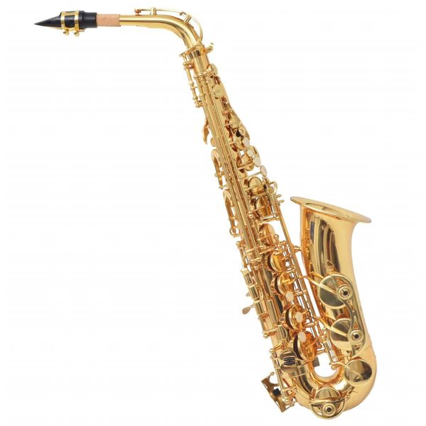 vidaXL Alt-Saxophon Gelb Messing mit Goldlack Eb