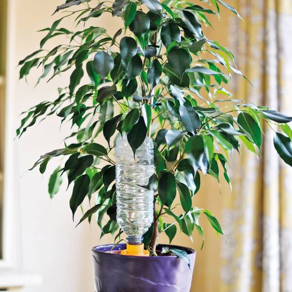 Hozelock 4 Stk. Bew&auml;sserungskegel Aquasolo Gro&szlig;