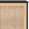 vidaXL Sideboard Schwarz 105x30x60 cm Massivholz Kiefer Natur-Rattan